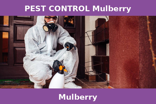 PEST CONTROL Mulberry